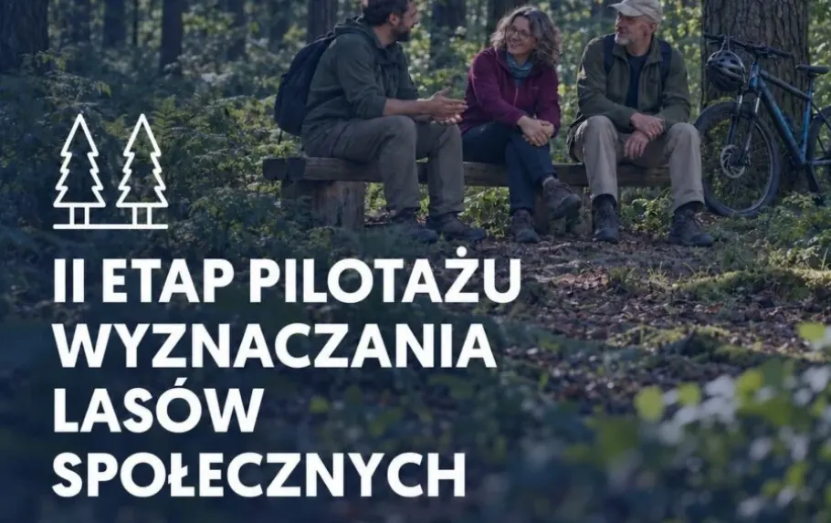Trwają konsultacje społeczne dotyczące przyszłości Lasu Młochowskiego – ilustracja